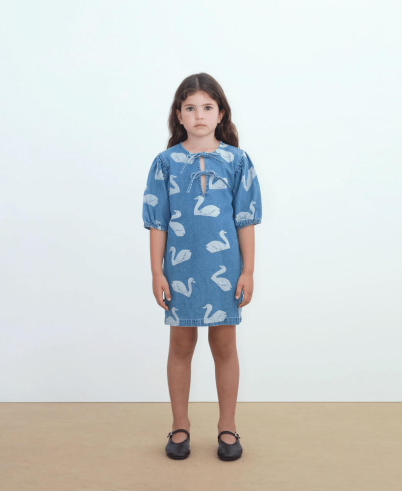 Big Swans Dress