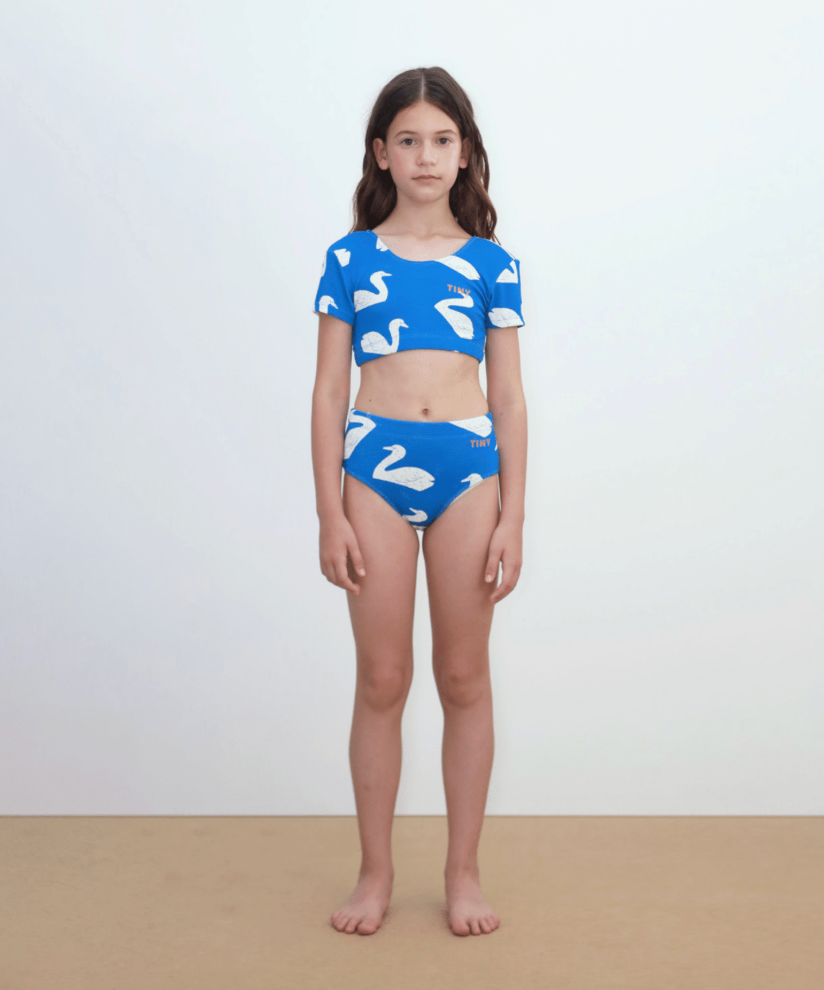 Big Swans Swim Set