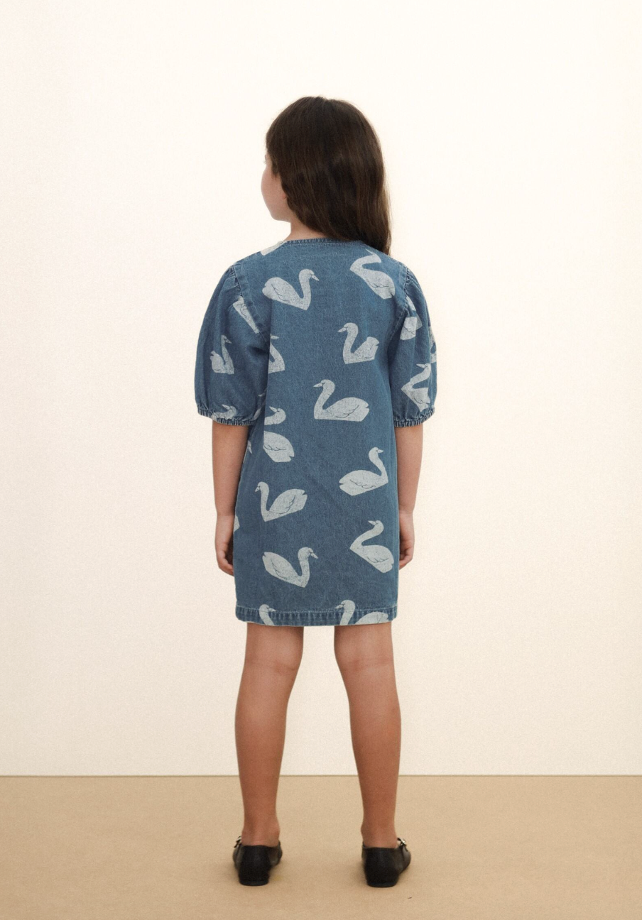 Big Swans Dress