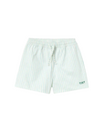Cyan Fine Stripes Swim Trunks