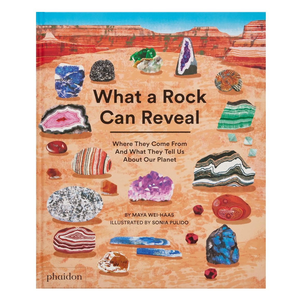 What a Rock Can Reveal by Maya Wei-Haas &amp; Sonia Pulido