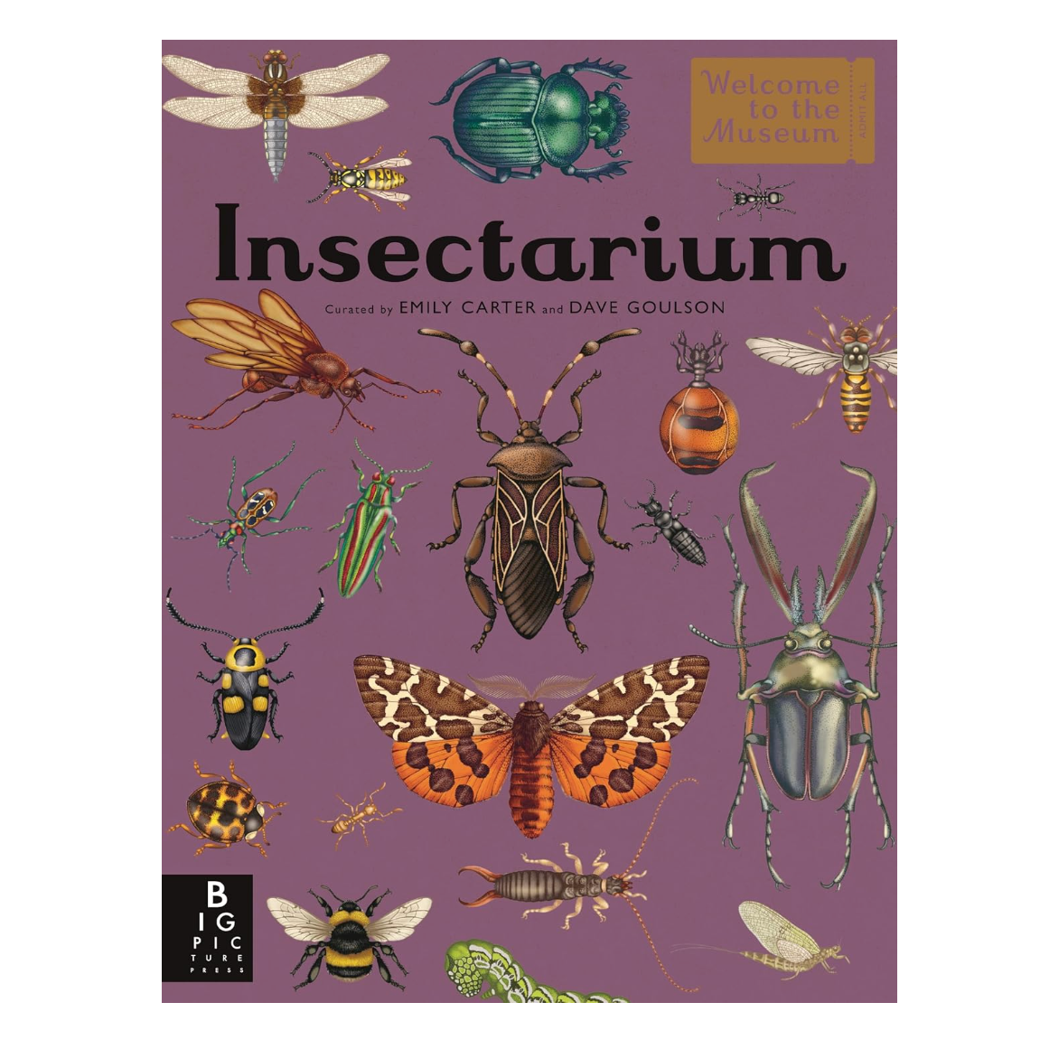 Insectarium: Welcome to the Museum Book by Dave Goulson &amp; Emily Carter