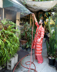 Sidewinder Robe | Poppy