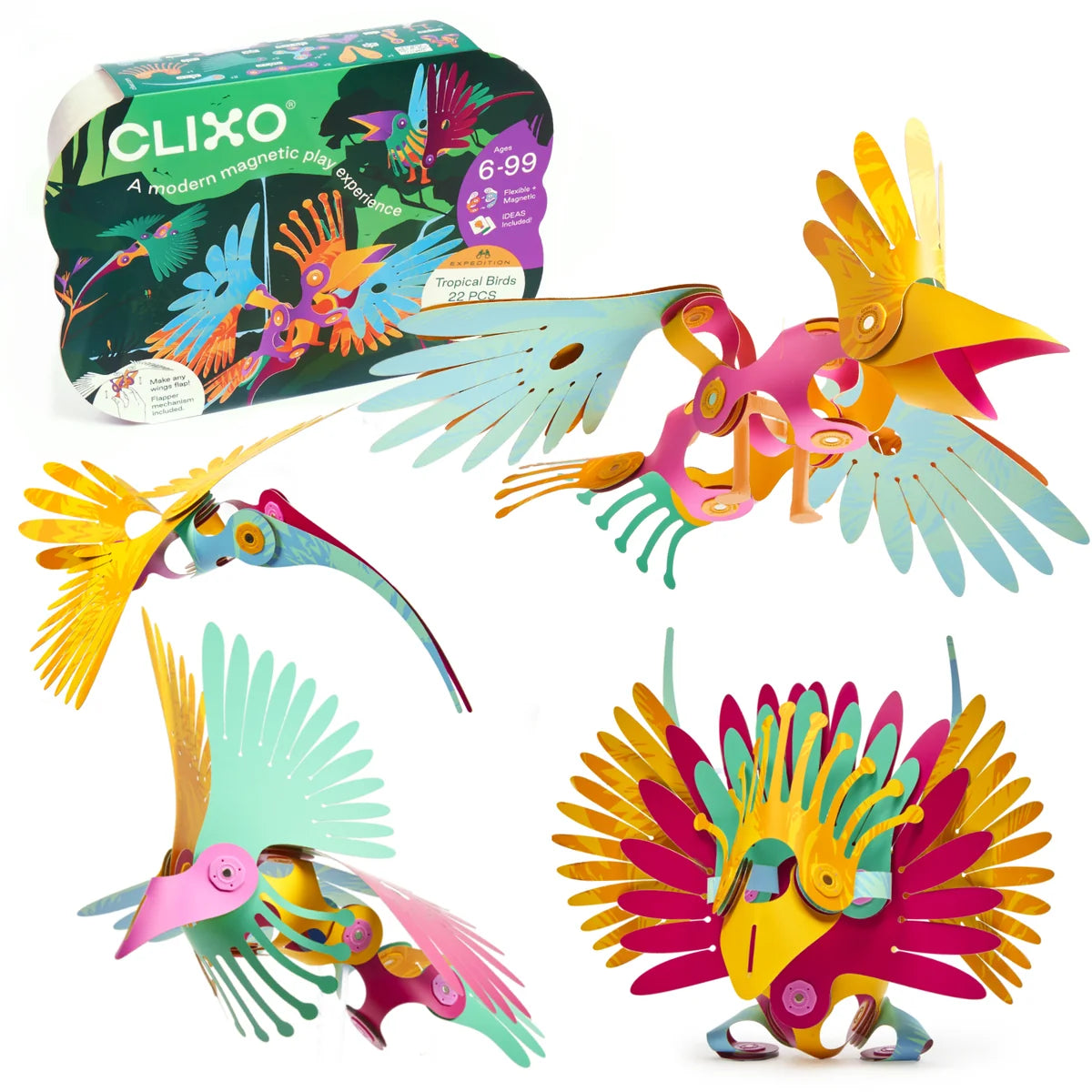 Jungle Birds Pack