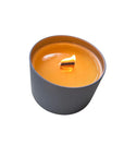 Onsen Saru Hot Spring Soy Candle by Miyashiro Studio