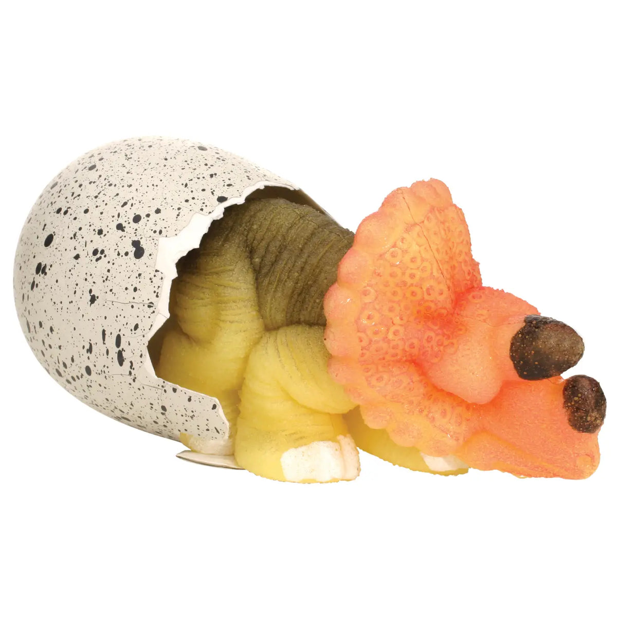 Ginormous Hatchin' Grow Dino Egg
