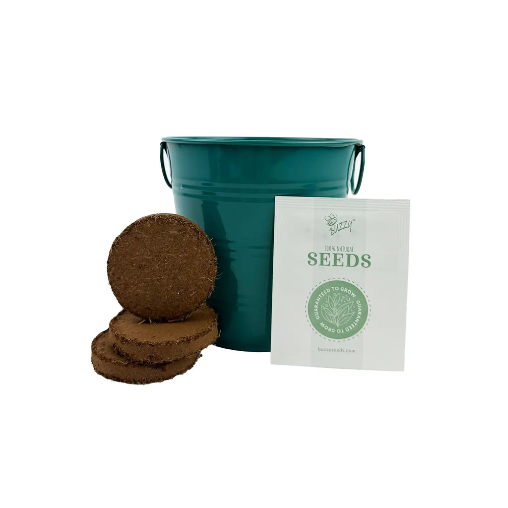 Sunflower Grow Kit by Buzzy, Inc.