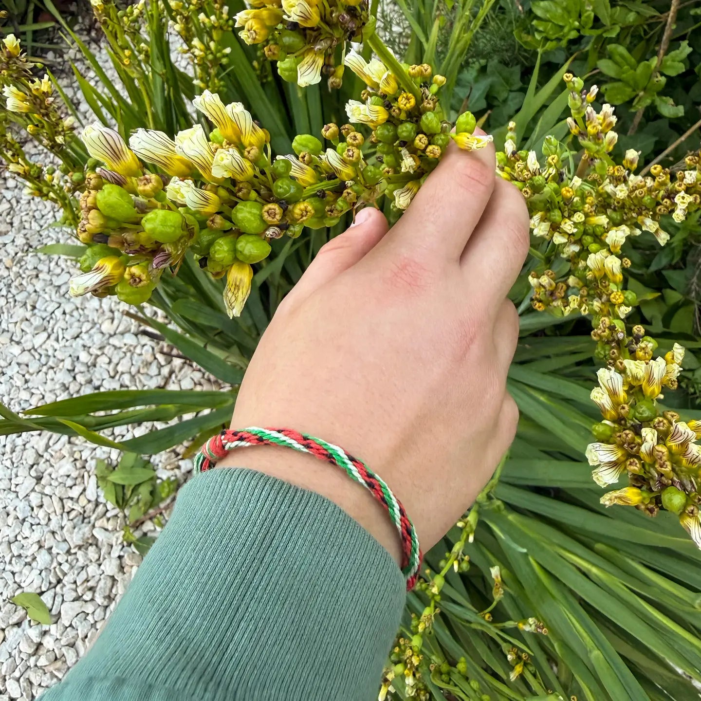 Watermelon Kumihimo Bracelet Kit