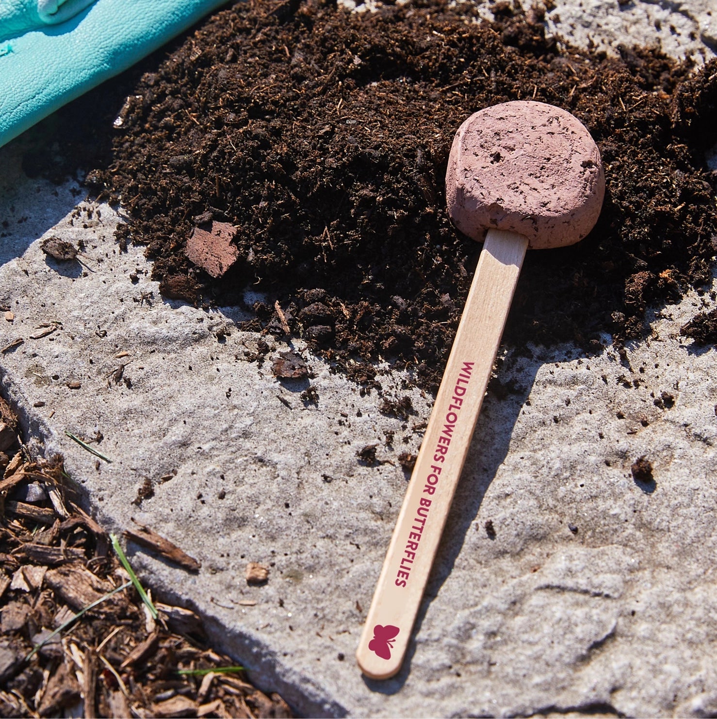 Pollinator Seed Pop