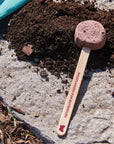 Pollinator Seed Pop