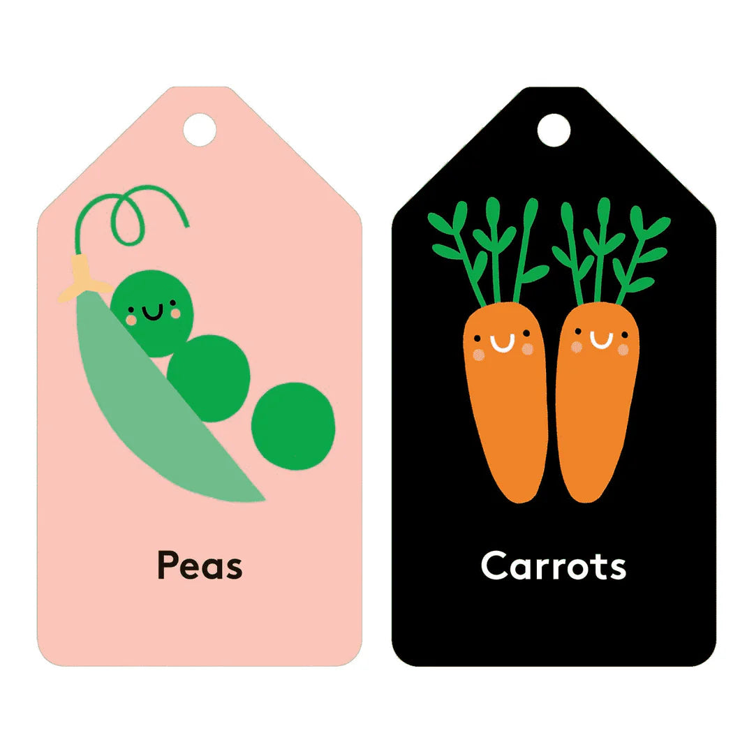 Baby&#39;s First Words Flash Cards by Mudpuppy