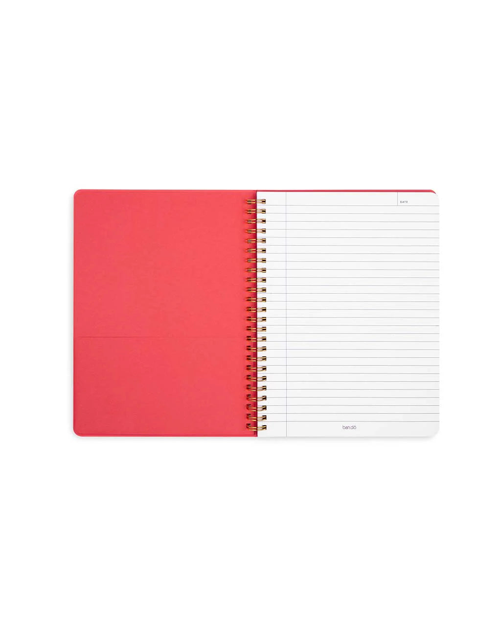 Flowers and Fruit Rough Draft Large Notebook