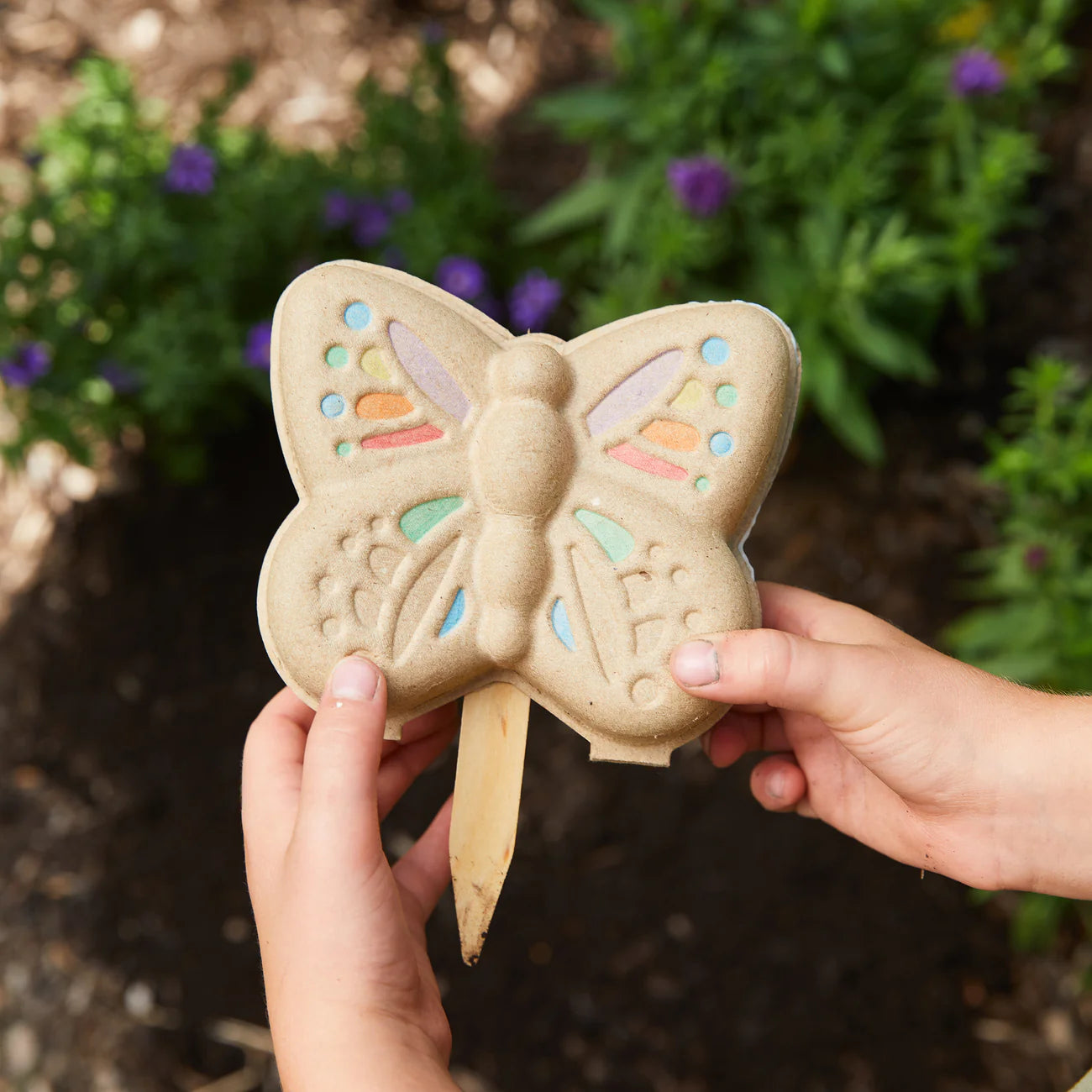 Butterfly Garden Kit