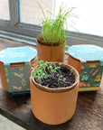 SALE Tiny Terracotta Pet Grow Kits by Modern Sprout