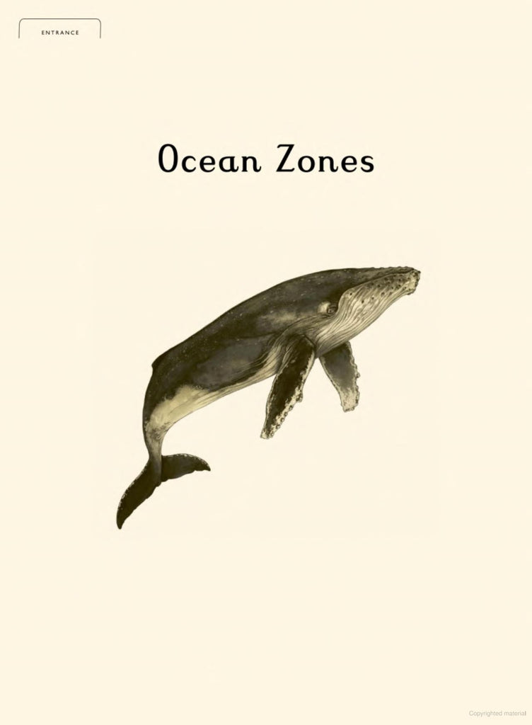 Oceanarium: Welcome to the Museum Book by Loveday Trinick and Teagan White