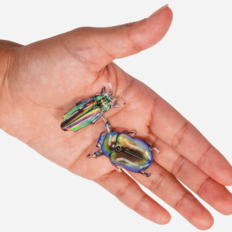 Disco Diggers Beetle Allie Clips