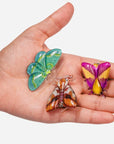 Dream Flyers Moth Allie Clips