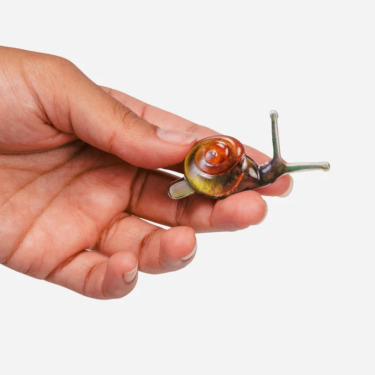 Slowpoke Snail Allie Clips