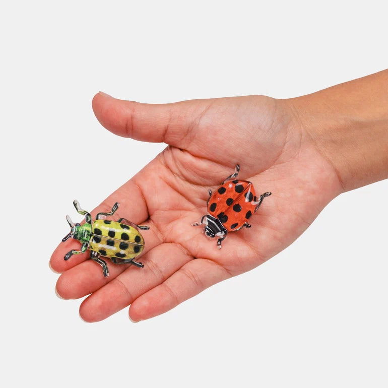 Spotted Crawlers Allie Clips