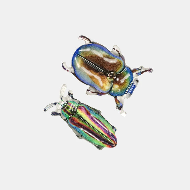 Disco Diggers Beetle Allie Clips