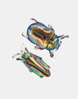 Disco Diggers Beetle Allie Clips