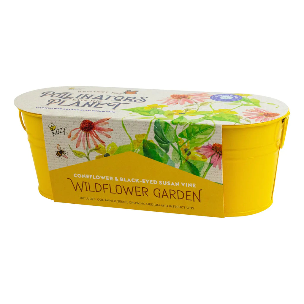Pollinator Windowsill - Coneflower & Black-Eyed Susan Vine by Buzzy, Inc.
