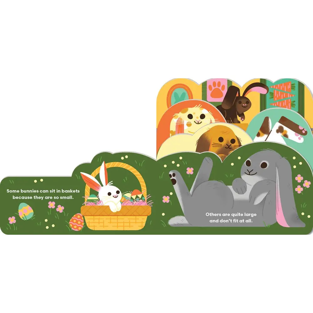 Some Bunnies Board Book by Lydia Nichols
