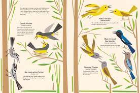 My Book Of Birds by Geraldo Valério