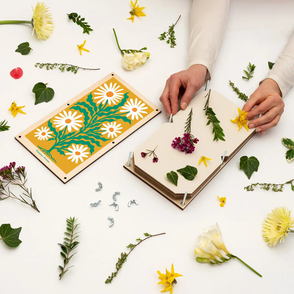 Large Flower Press - Daisy by Studio Wald