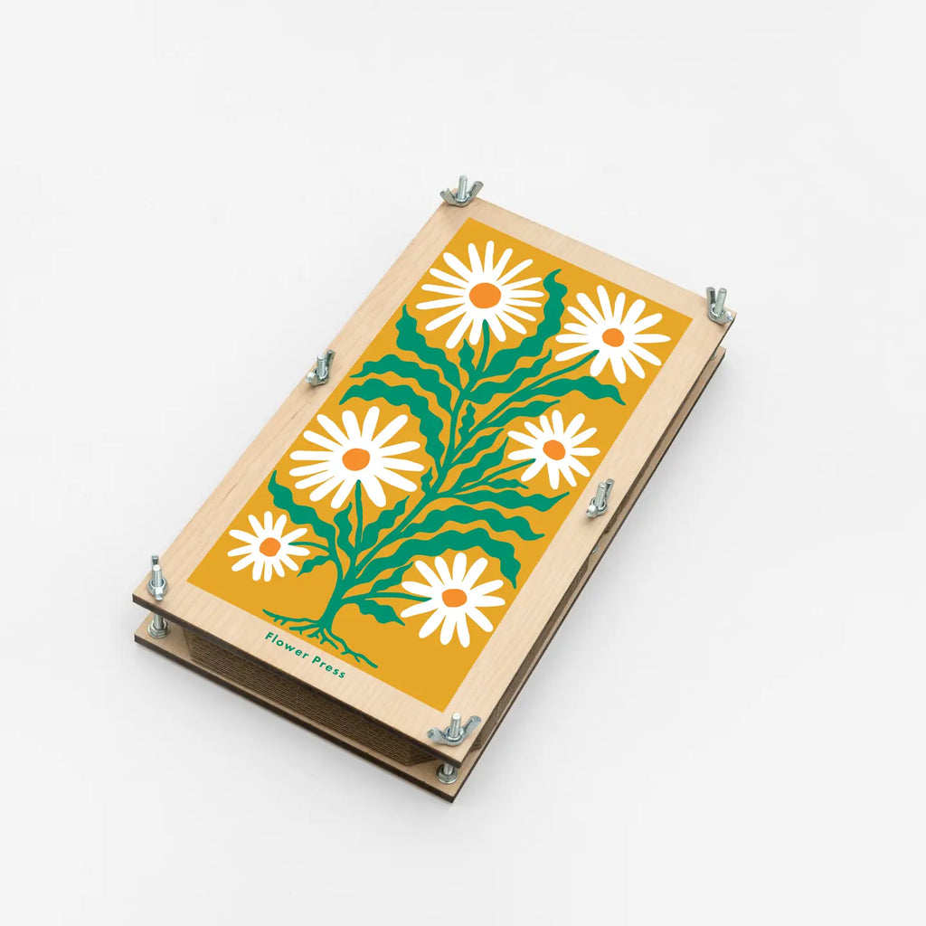 Large Flower Press - Daisy by Studio Wald