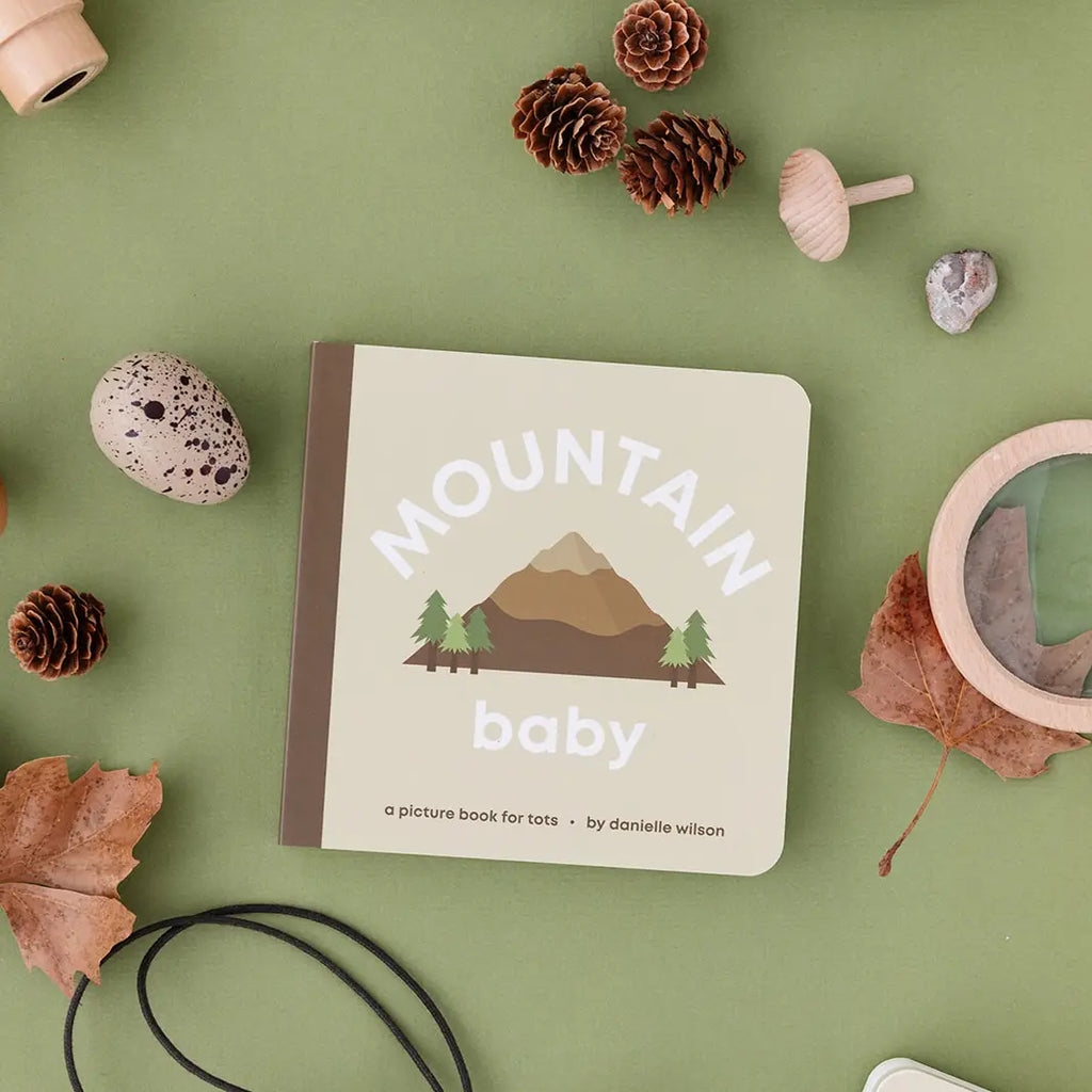 Mountain Baby Board Book  by Danielle Wilson