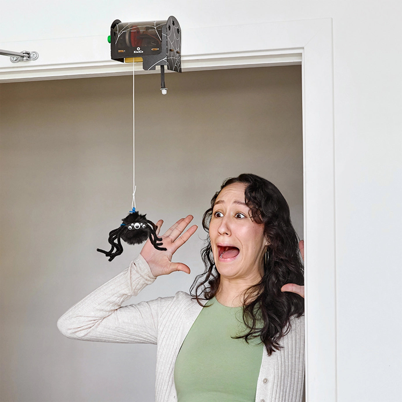 Motion-Sensing Spider Kit