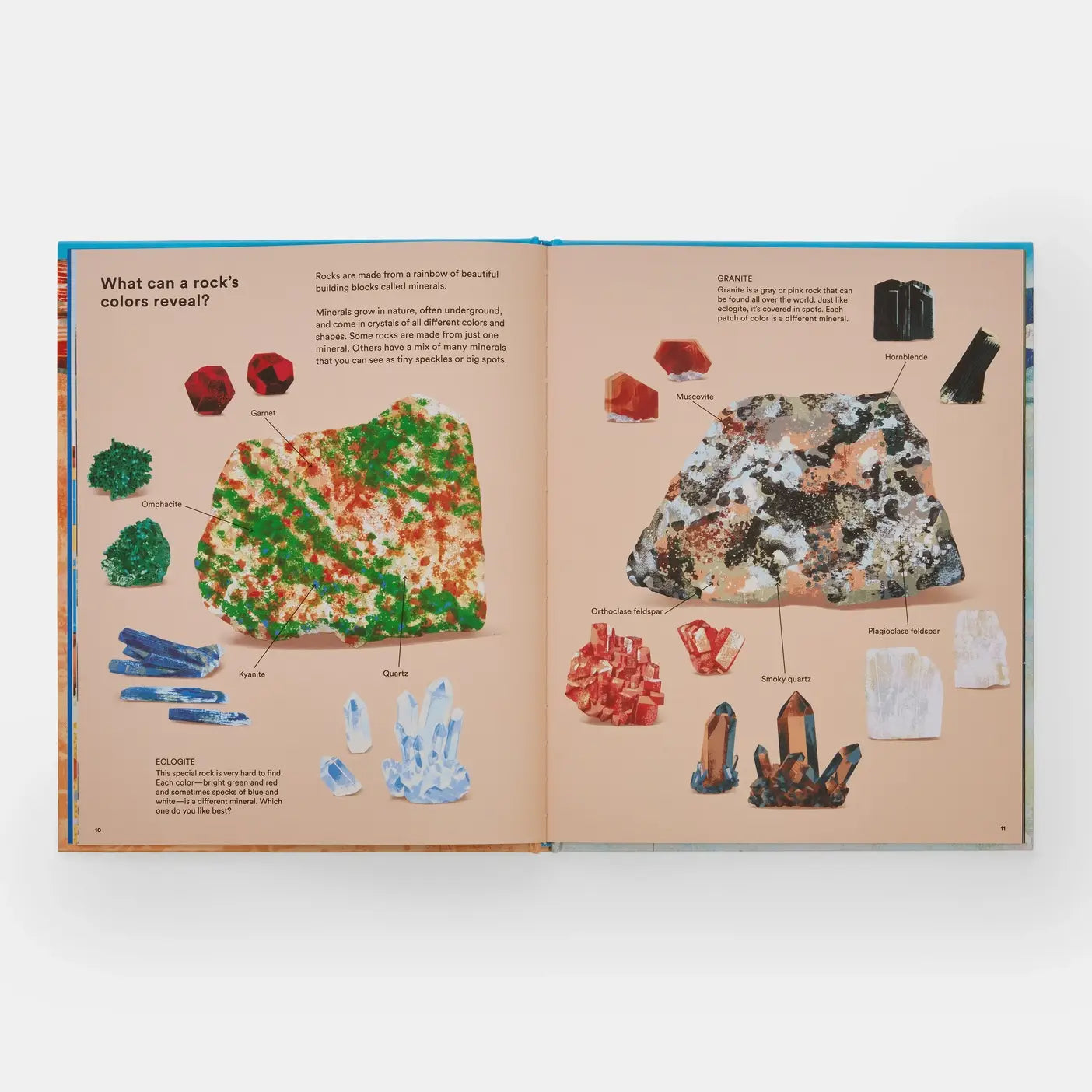 What a Rock Can Reveal by Maya Wei-Haas &amp; Sonia Pulido