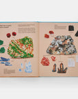 What a Rock Can Reveal by Maya Wei-Haas & Sonia Pulido