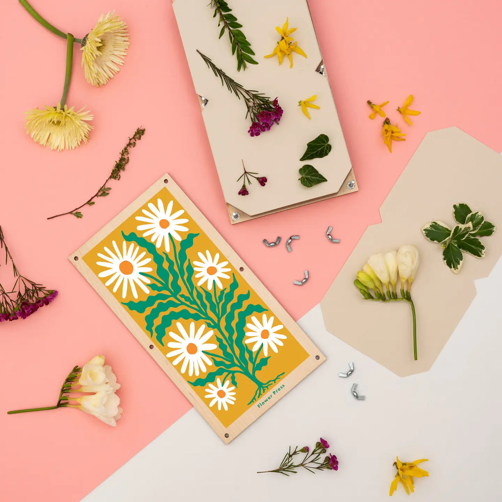 Large Flower Press - Daisy by Studio Wald