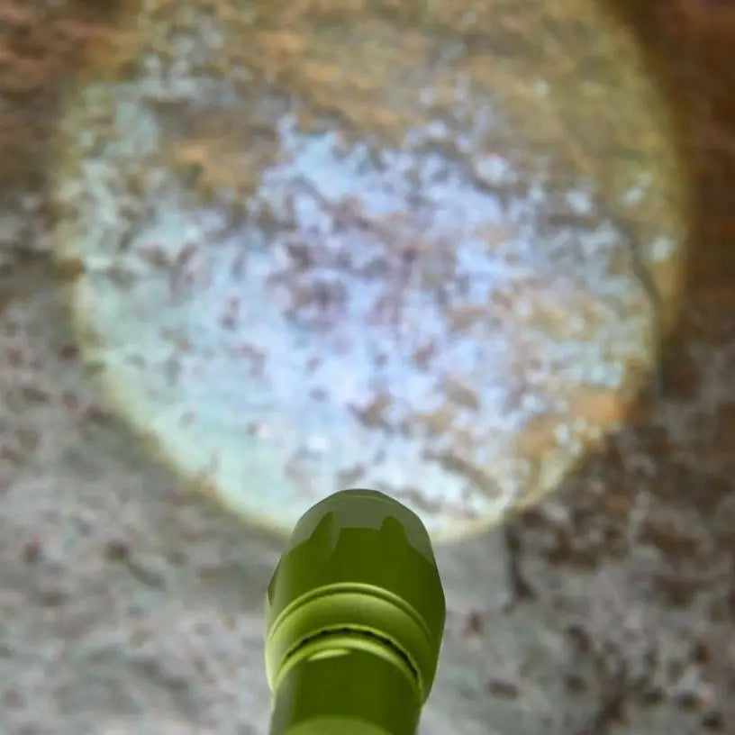 Terra Kids 4-Way Flashlight
