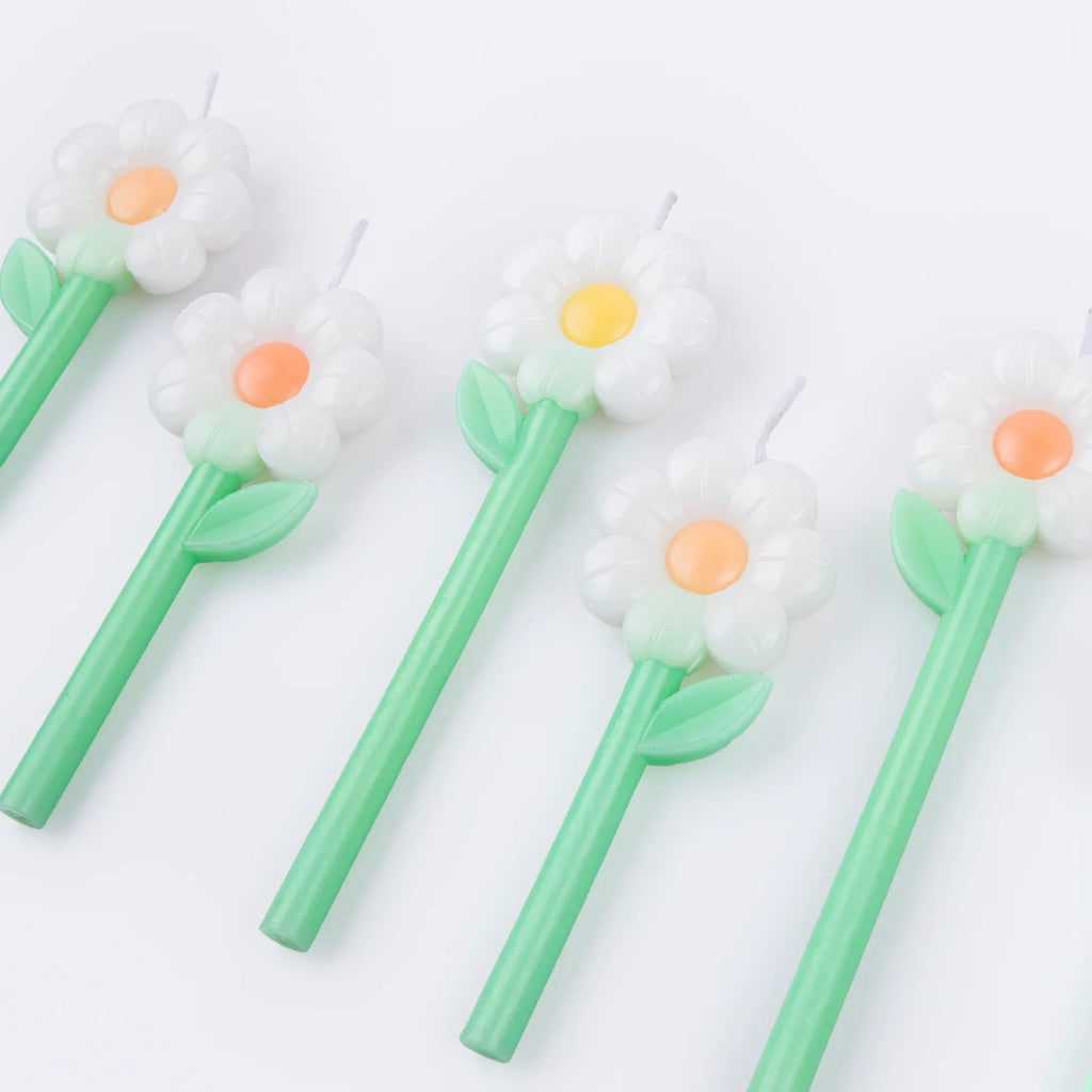 Daisy Candles by Meri Meri