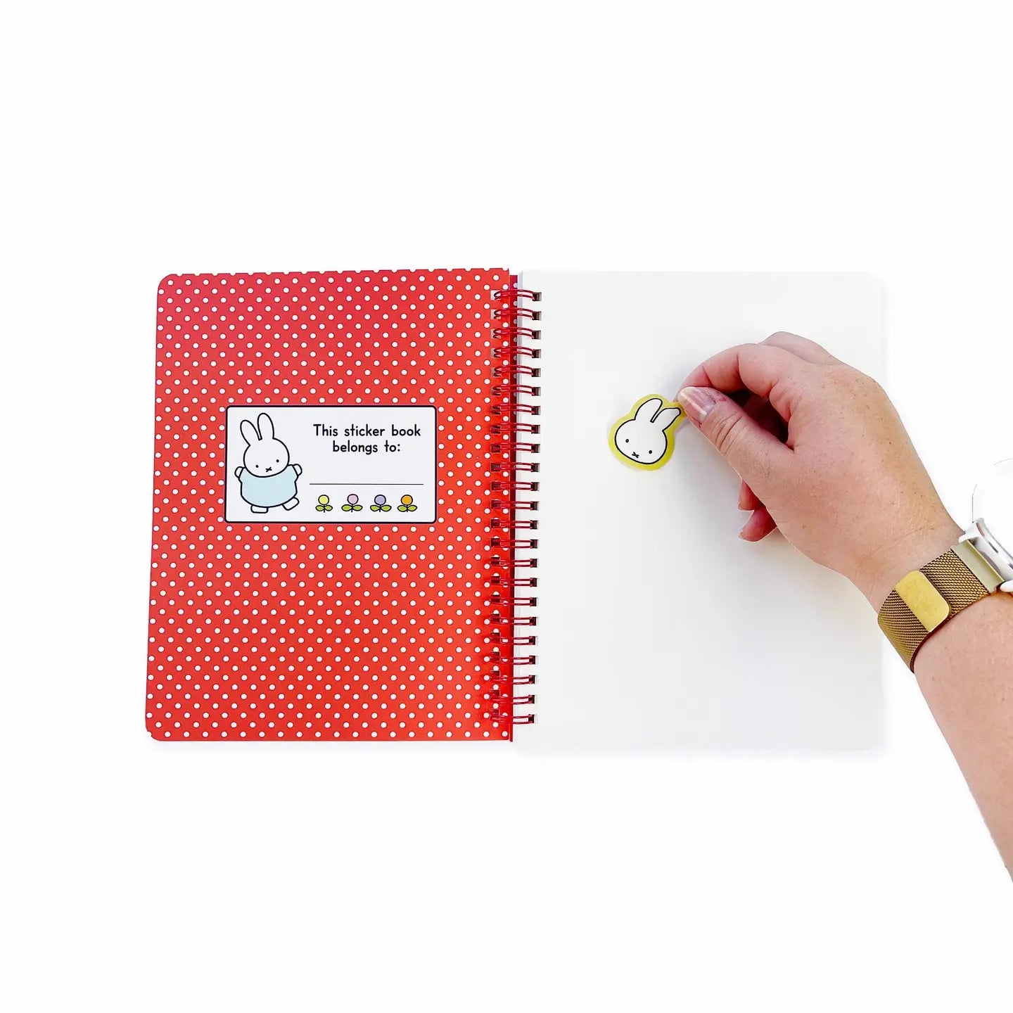 Miffy + Cute Things Reusable Sticker Book