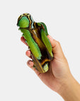 Nimbus Claw in Malachite Butterfly