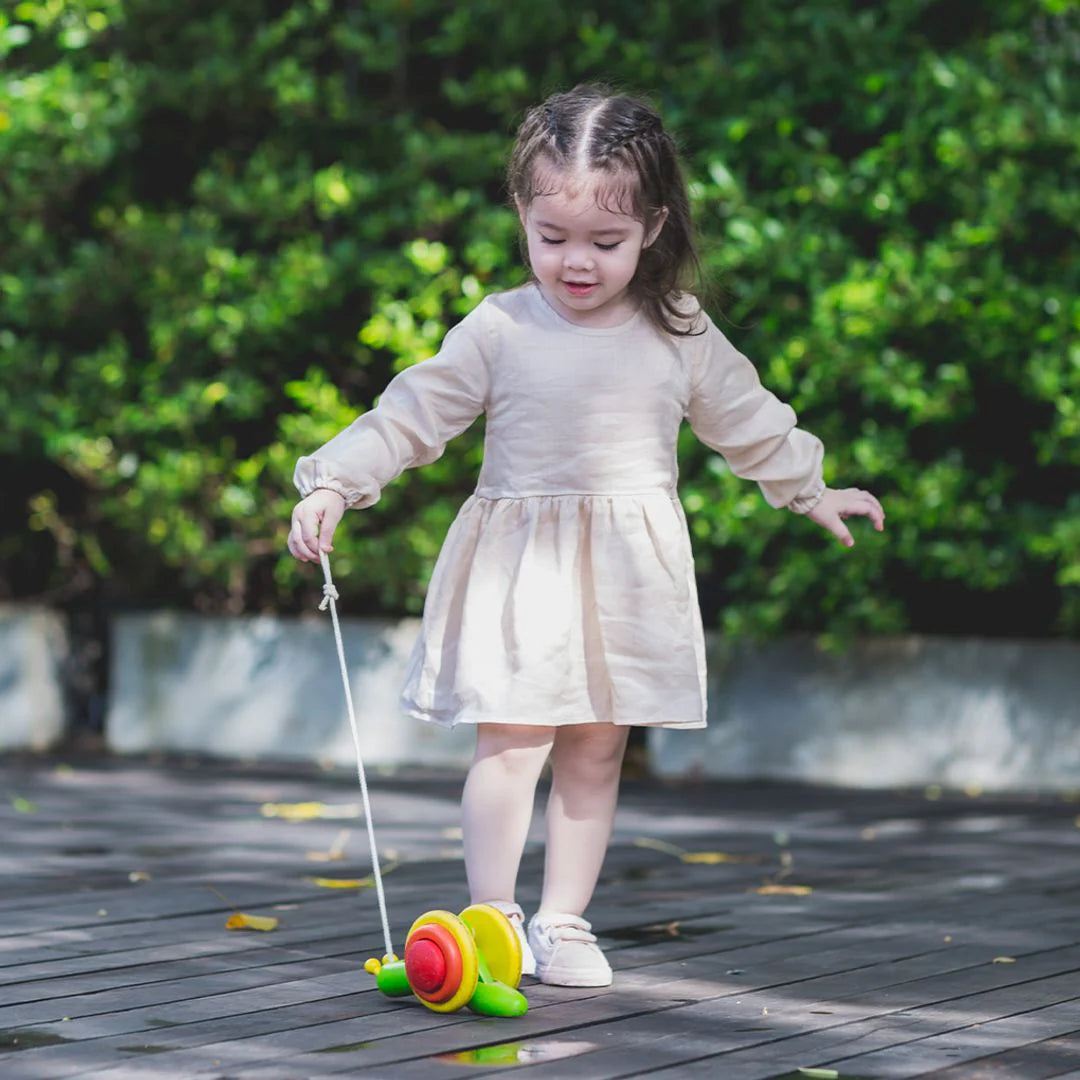 Pull-Along Snail Toy