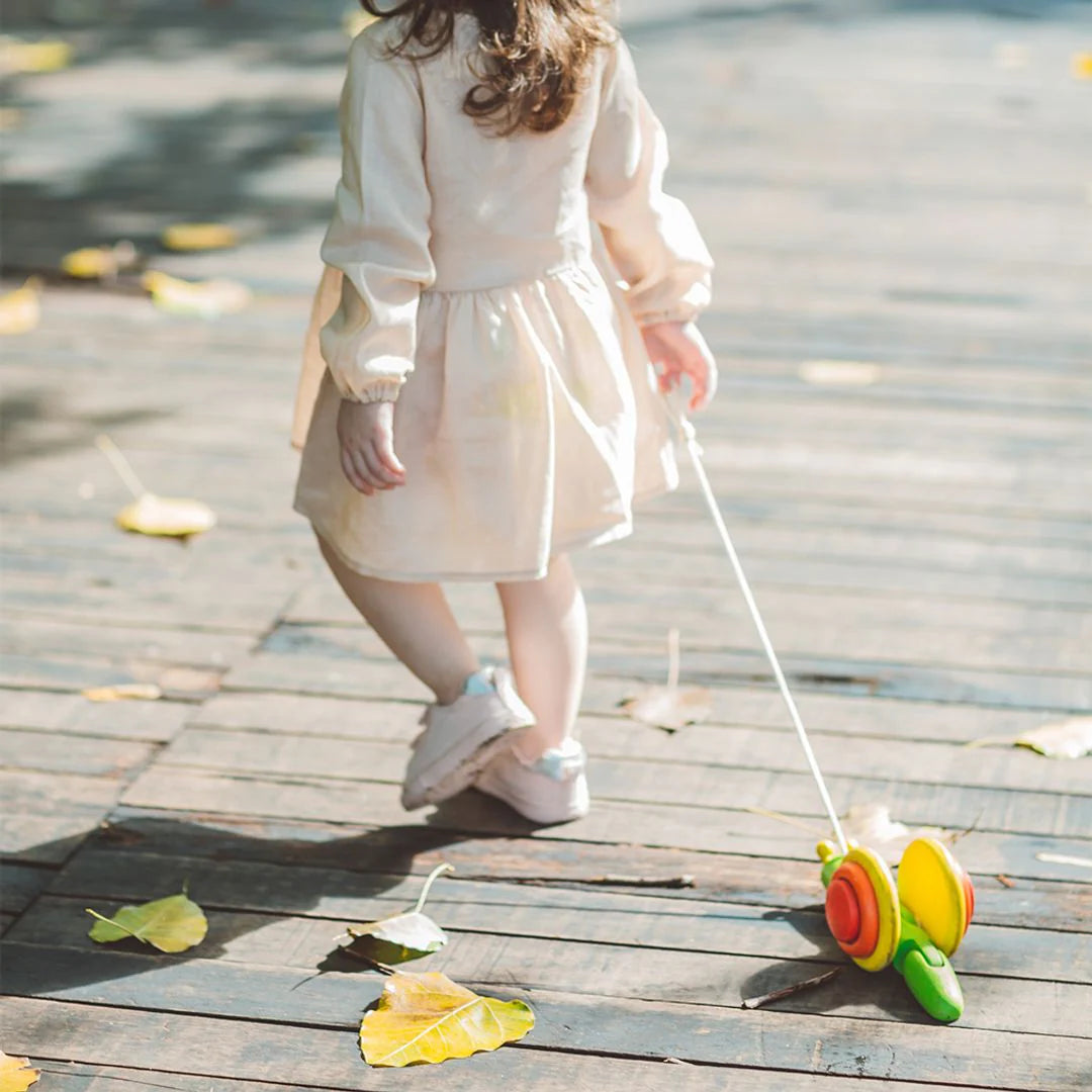 Pull-Along Snail Toy
