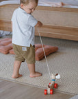 Happy Puppy Pull-Along Toy