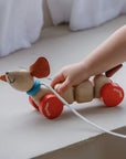 Happy Puppy Pull-Along Toy