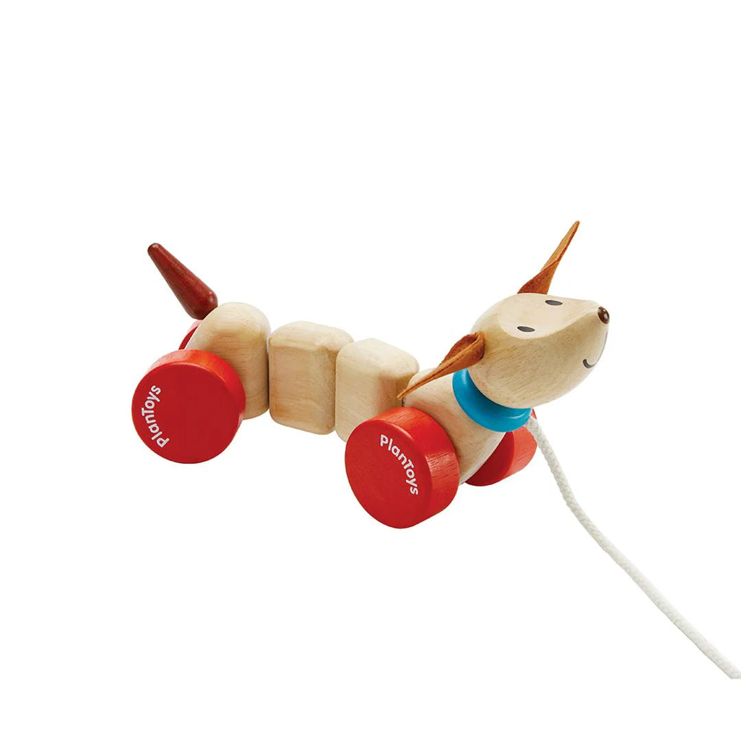 Happy Puppy Pull-Along Toy