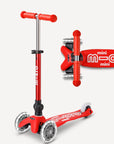 Micro Mini Foldable Scooter - LED Wheels (More Colors)