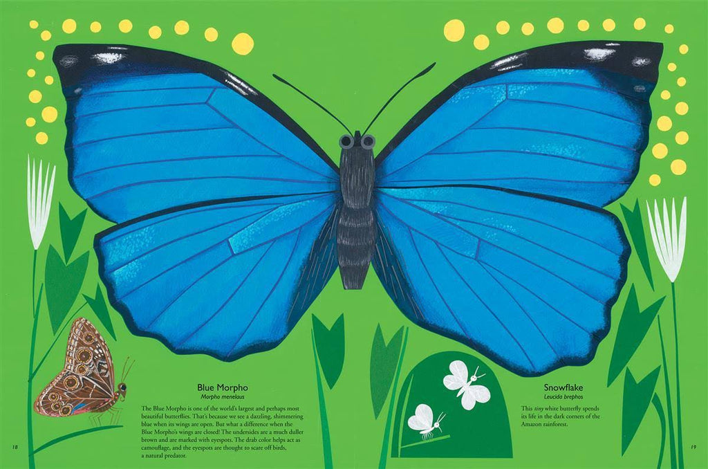 My Book Of Butterflies by Geraldo Valério