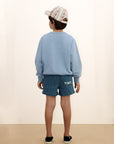 Striped Denim Shorts