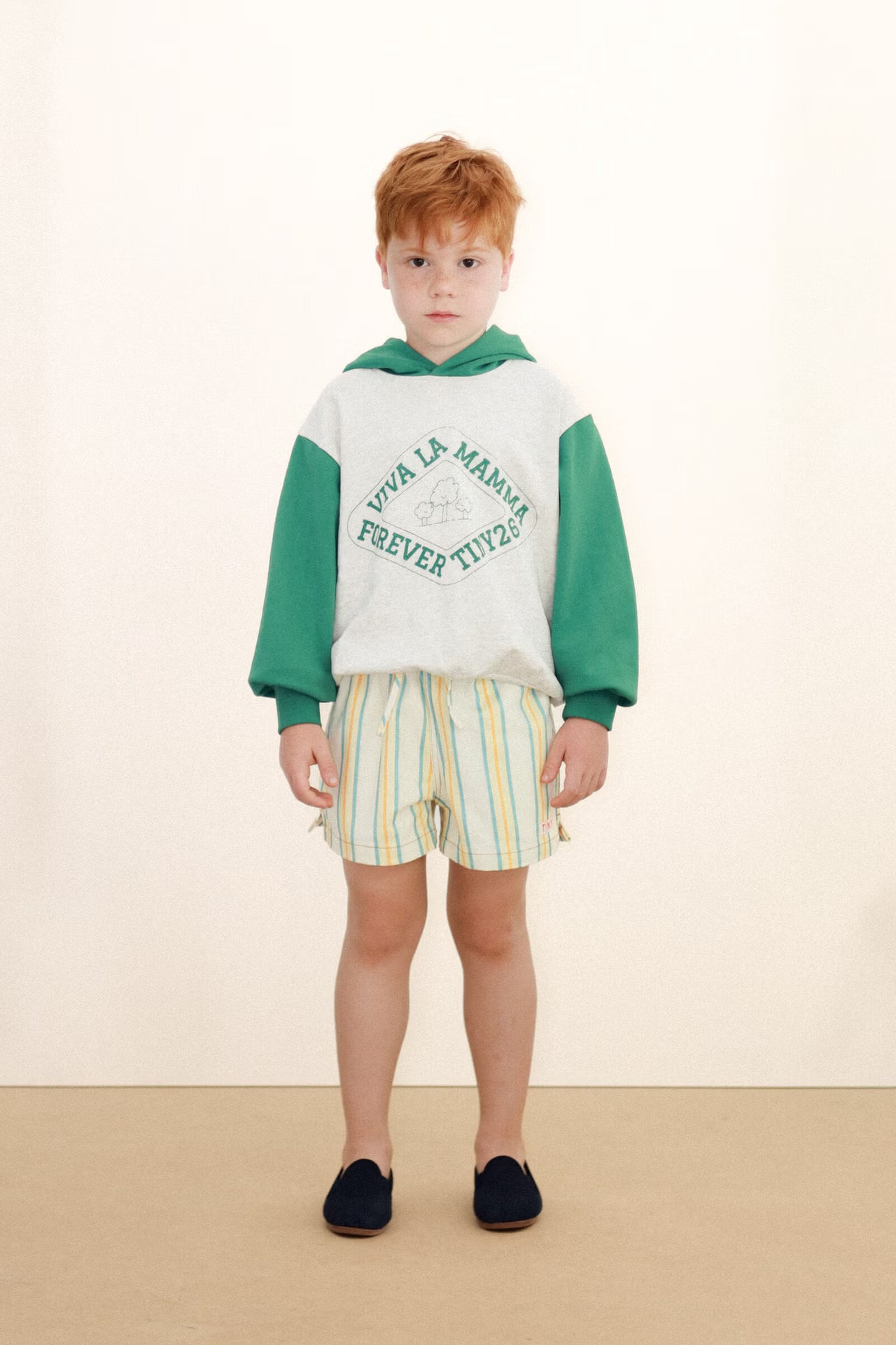 Multicolor Stripe Shorts