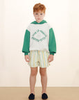 Multicolor Stripe Shorts