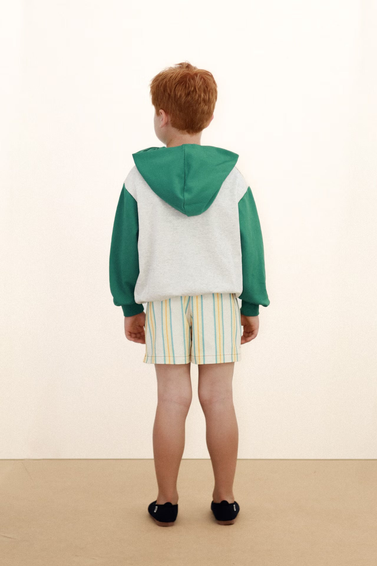 Multicolor Stripe Shorts